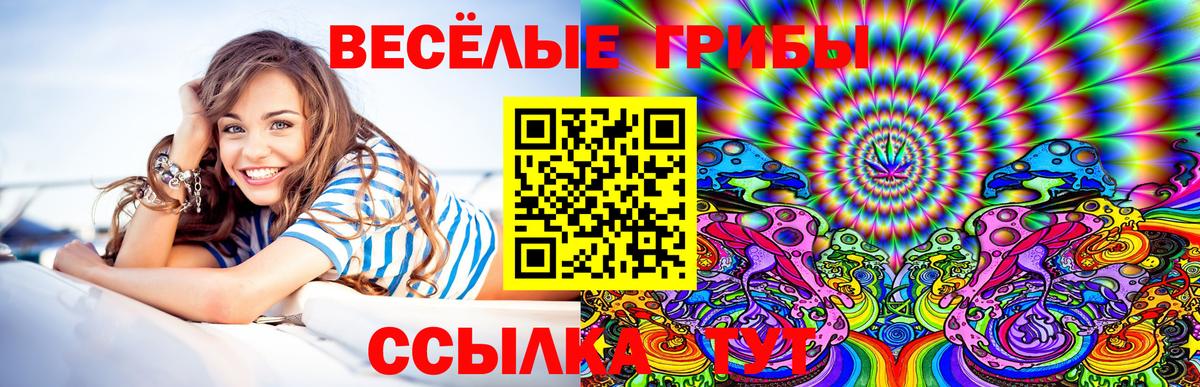 Псилоцибиновые грибы GOLDEN TEACHER  Галлюциногенные грибы Cubensis  Дубна  Вход с VPN 
