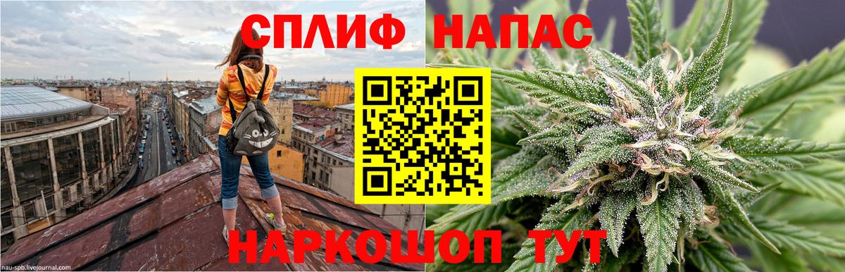Дубна  Бошки марихуана индика  МАРИХУАНА Amnesia  Вход с VPN  Марихуана индика 